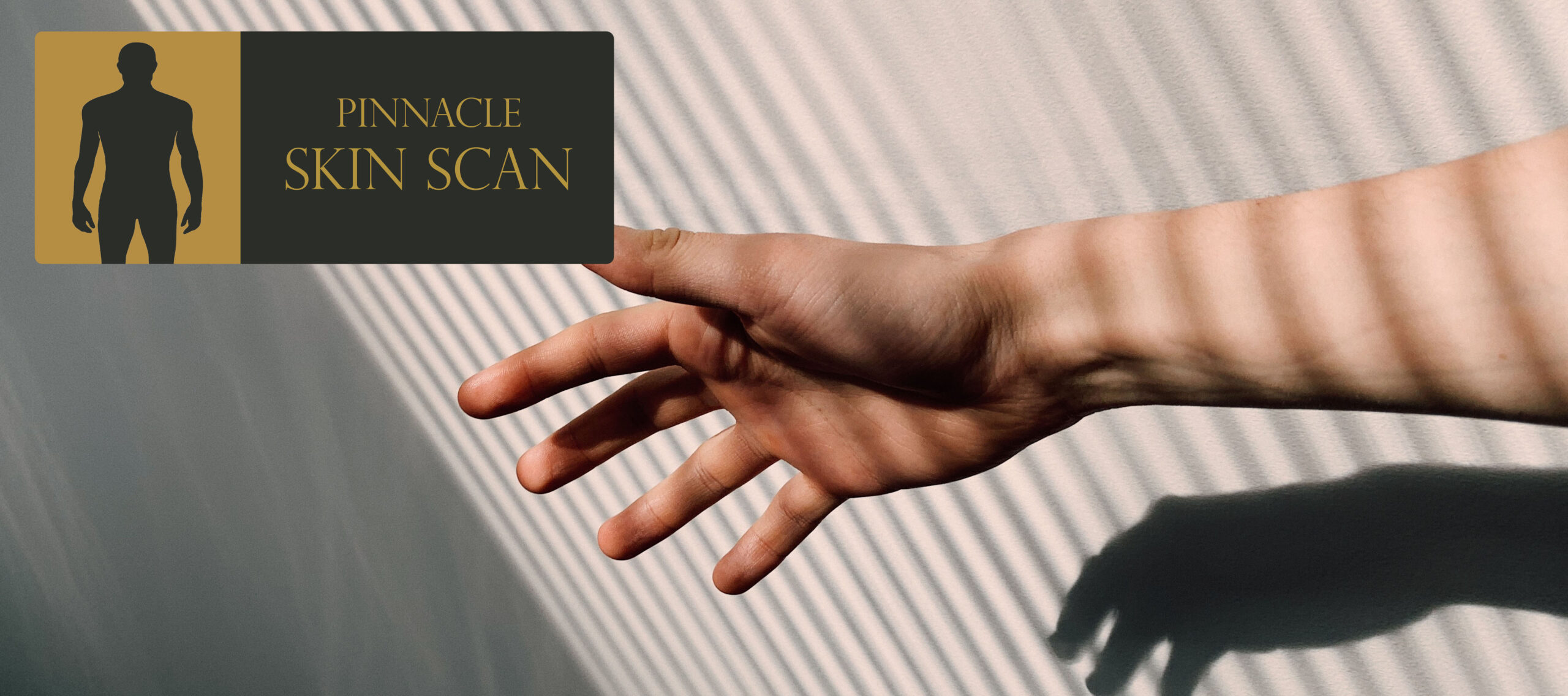 Pinnacle Skin Scan